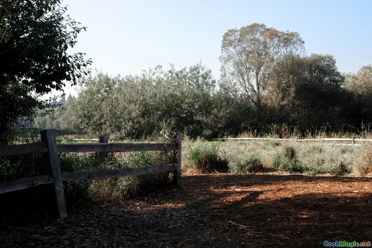 sustainable farming, olive grove conservation, local farmers
