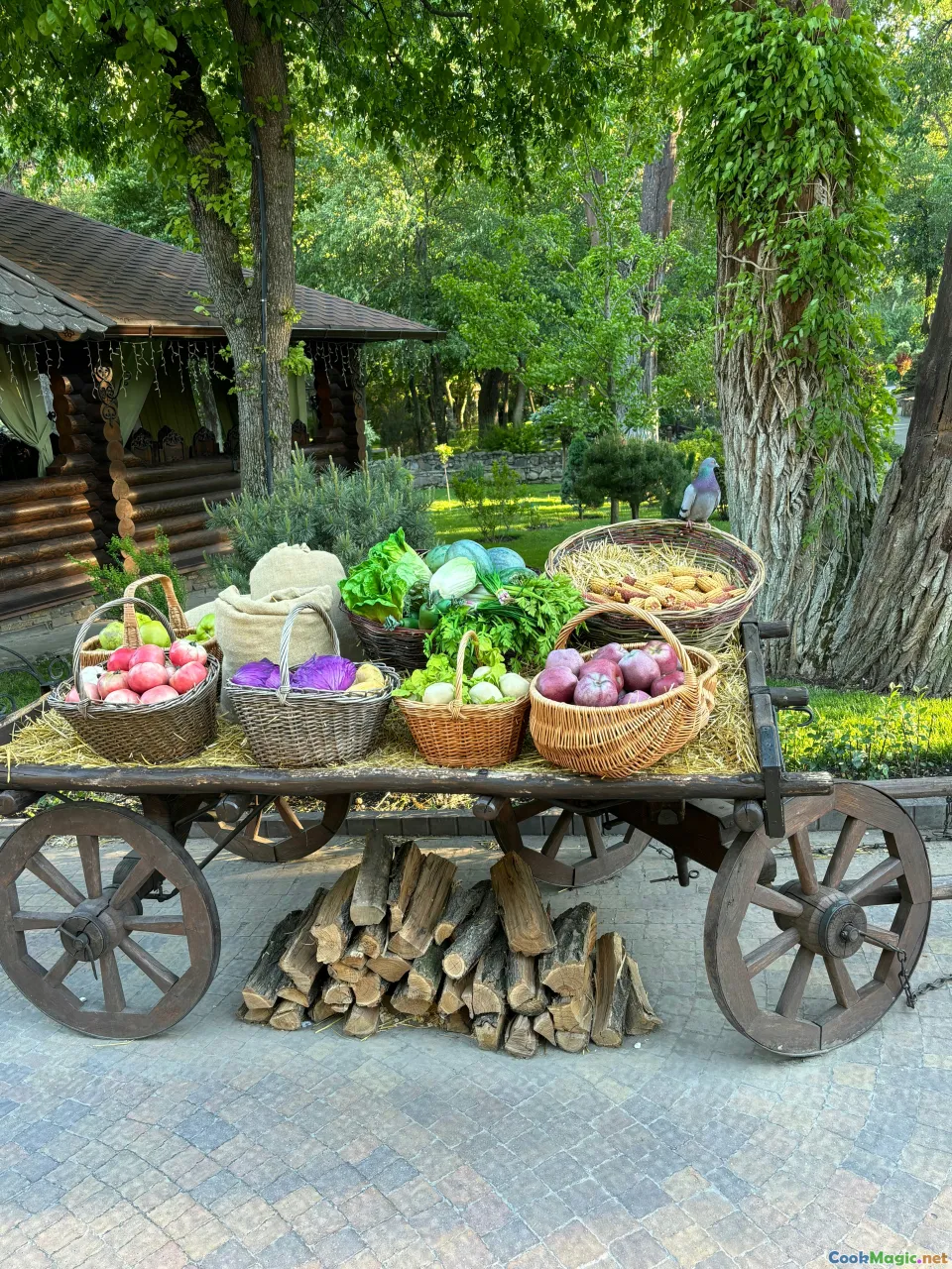tajik regional cuisine, herbs in different regions, mountain village kitchen