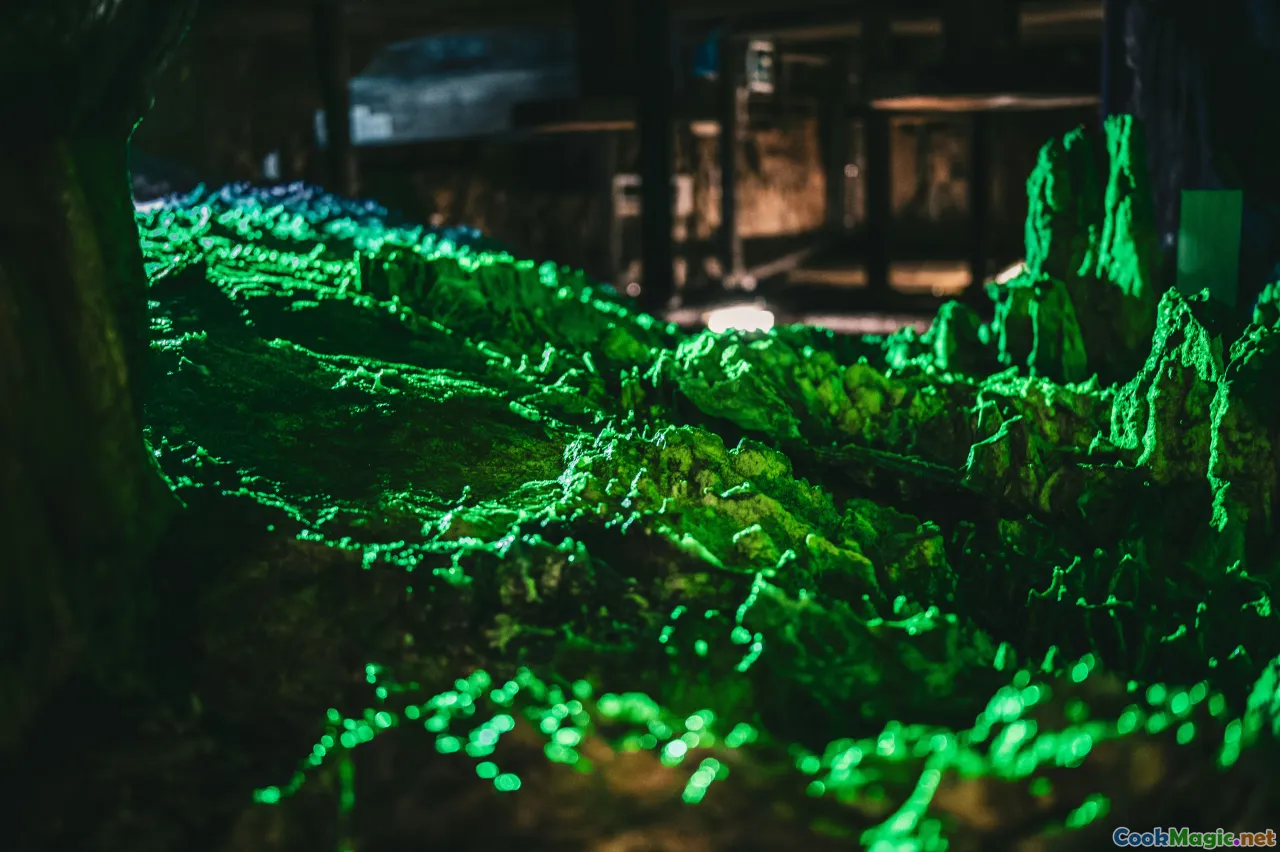 tchaka, green plov, shashlik