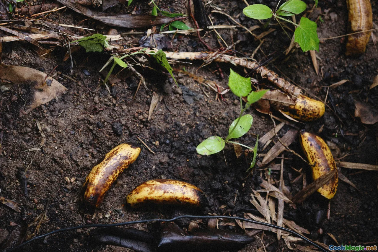 underground pit, BBQ, banana leaves, traditional method