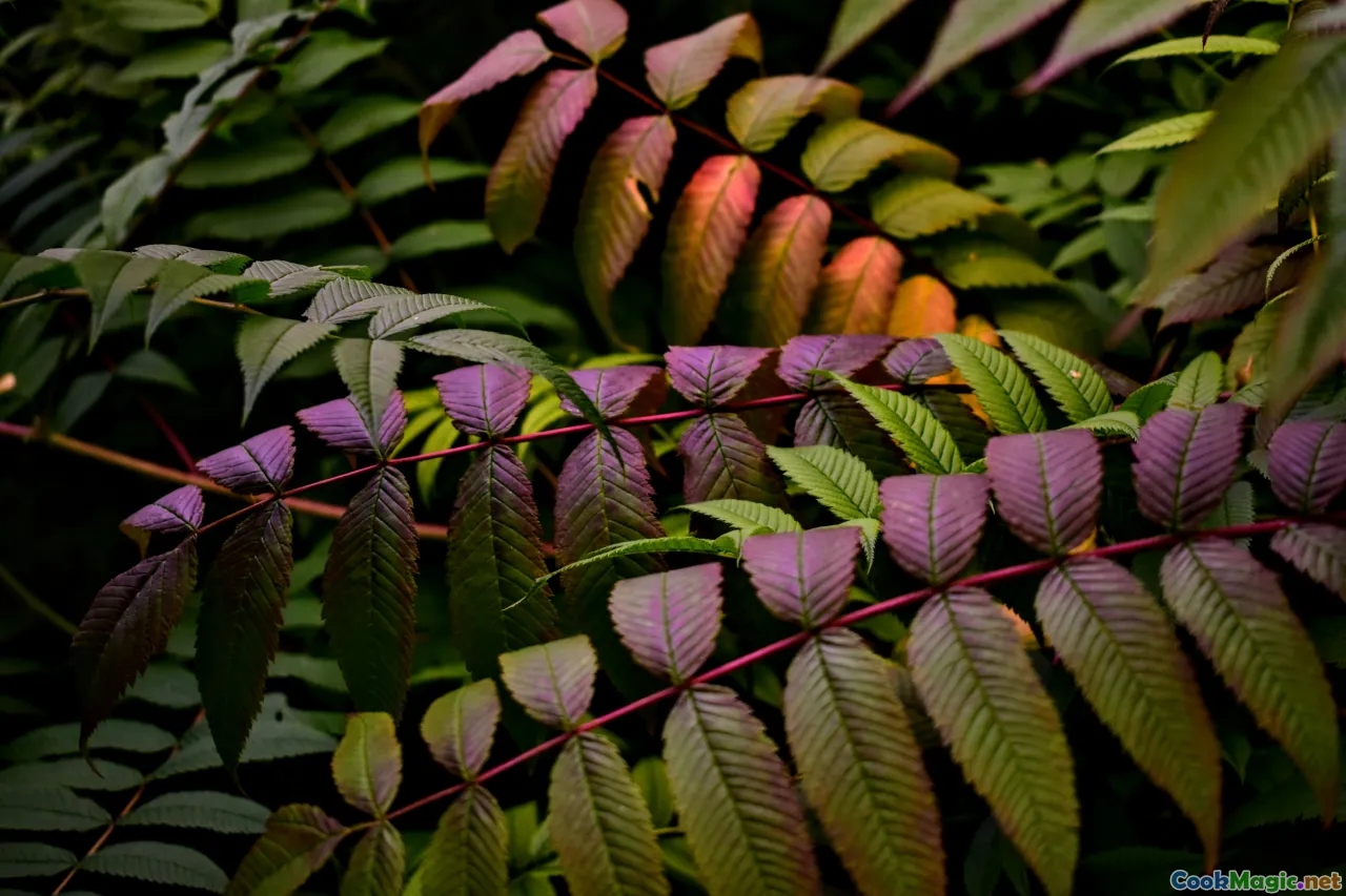 vibrant Kanak celebration, lush tropical landscape, diversity of local ingredients