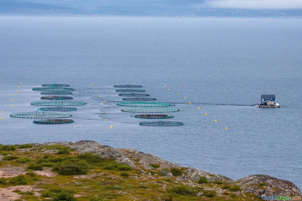 aquaculture, fish farms, innovative farming methods