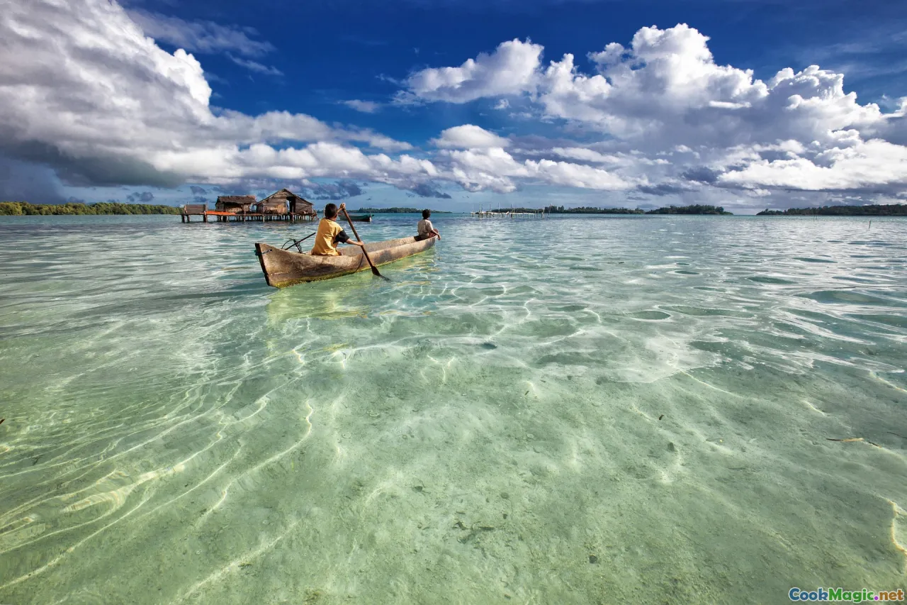 coconut palms, Garifuna villages, Caribbean coast, dugout canoe