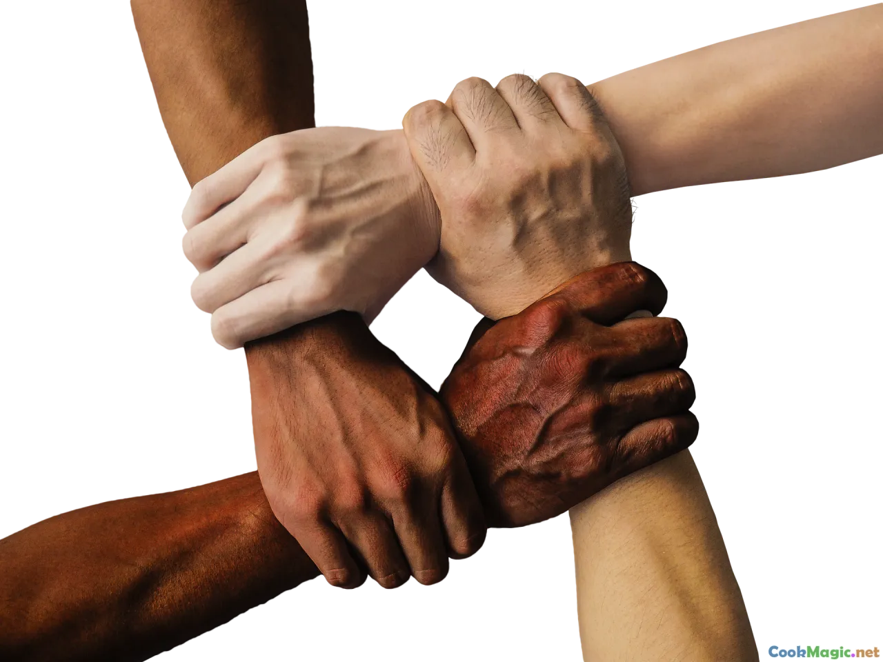 community, sharing, diversity