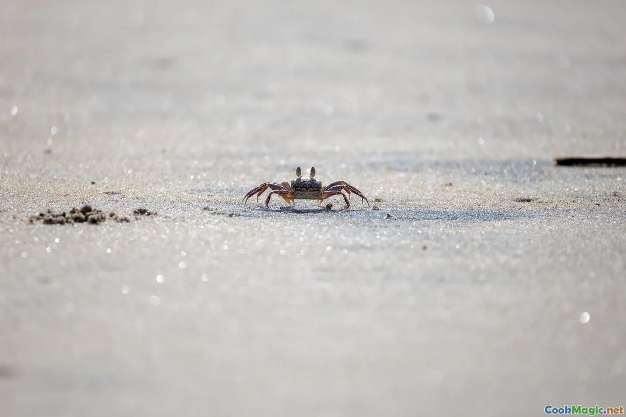 comparison, cajun, clambake, crab feast