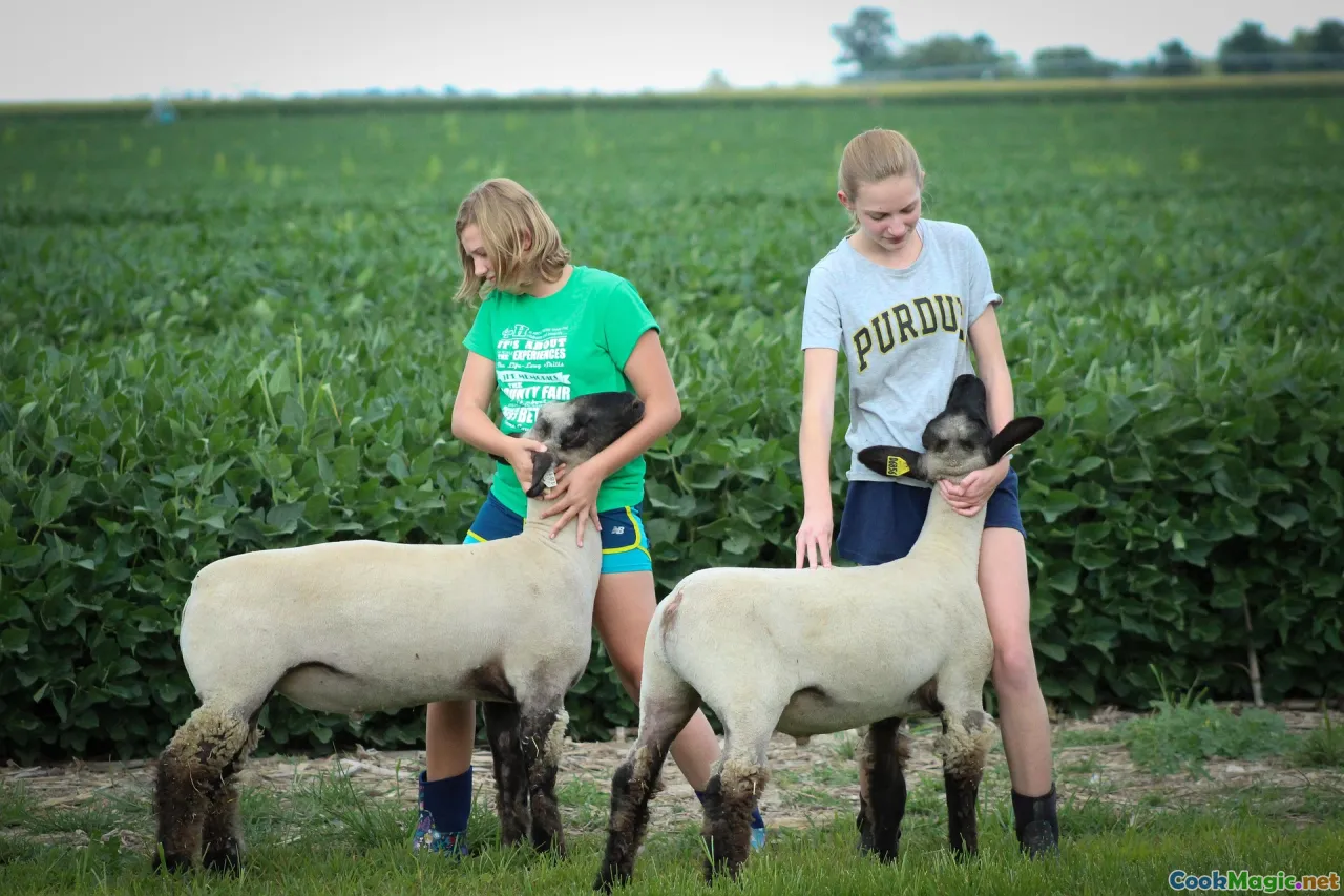 farmers, 4-H, kitchen prep, community