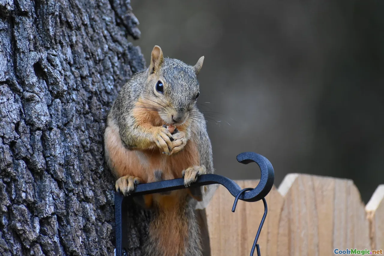 foraging, wild herbs, Nordic woods, foragers