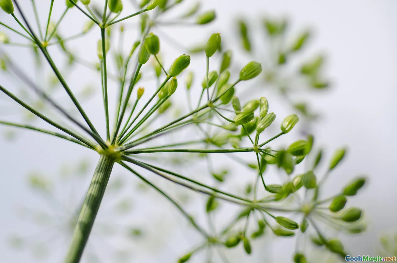 fresh vegetables, beef cuts, Haitian spices