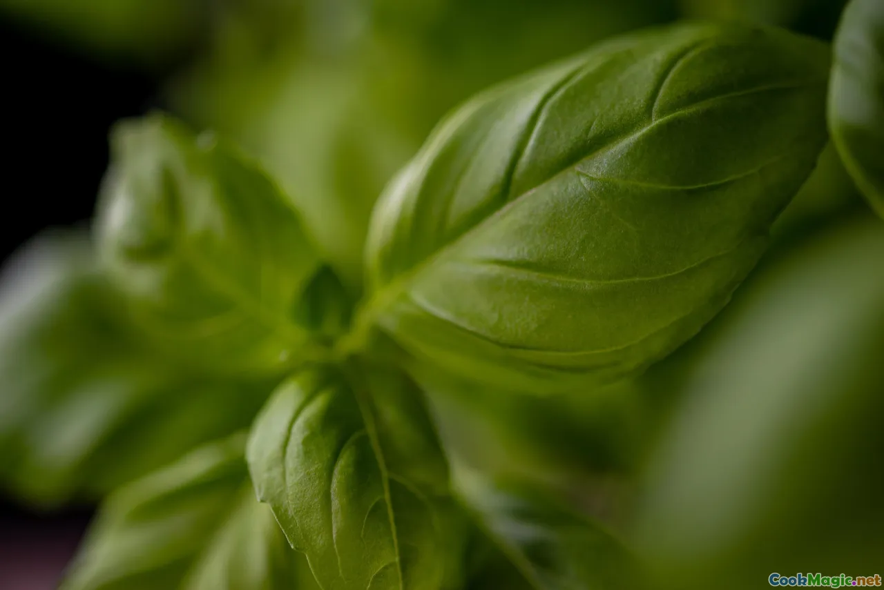 green seasoning, blender, herbs, marinade