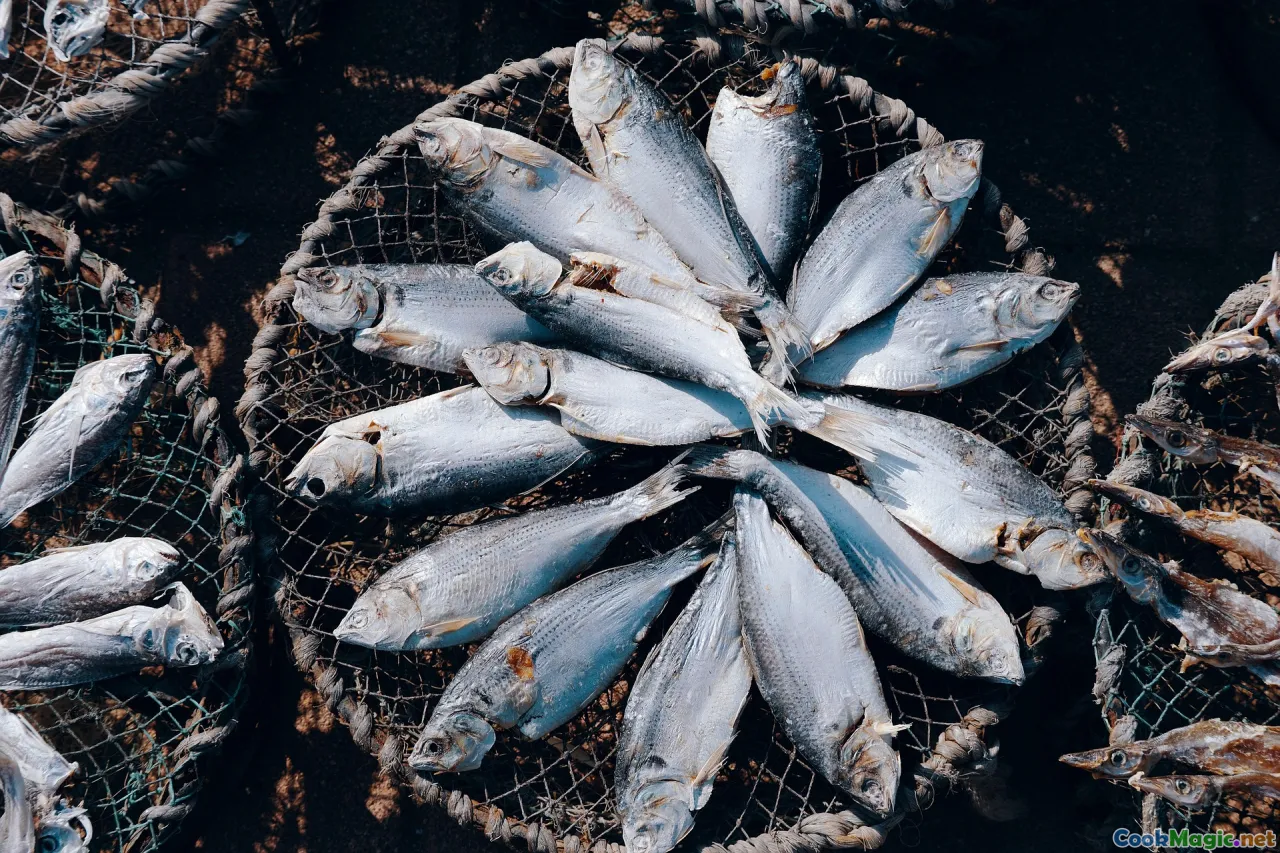 kelp, dried fish, fermenting, Scandinavian sea