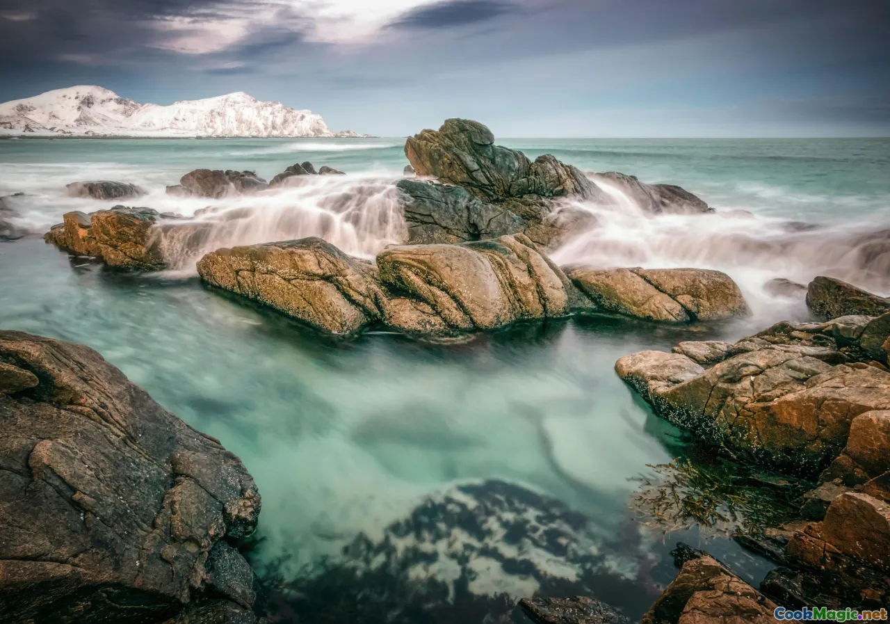 Lofoten, Bergen, Oslo, seaweed