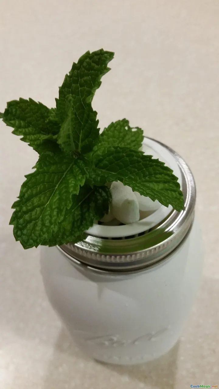 mason jar, infusing herbs, kitchen counter, citrus peel