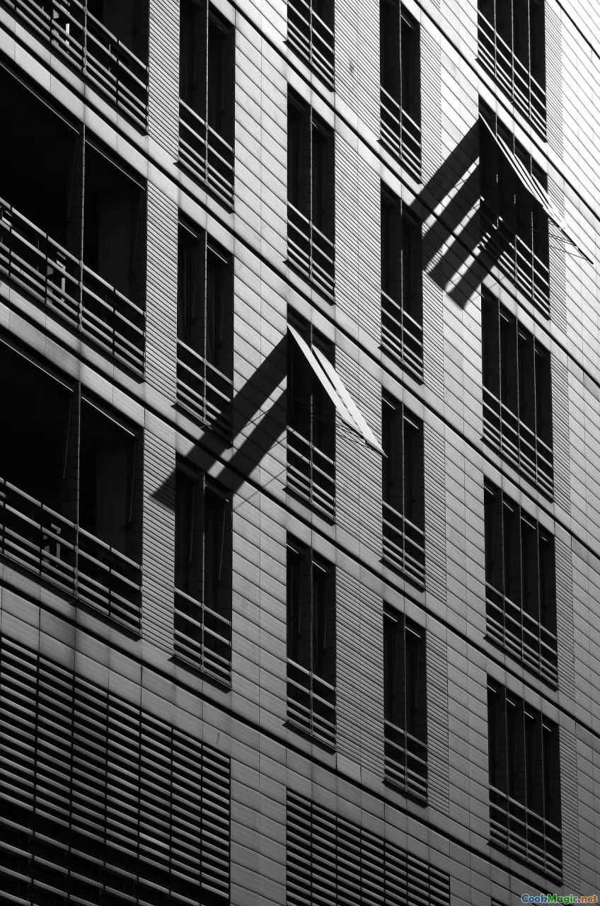 modern chef, contemporary presentation, fusion plates