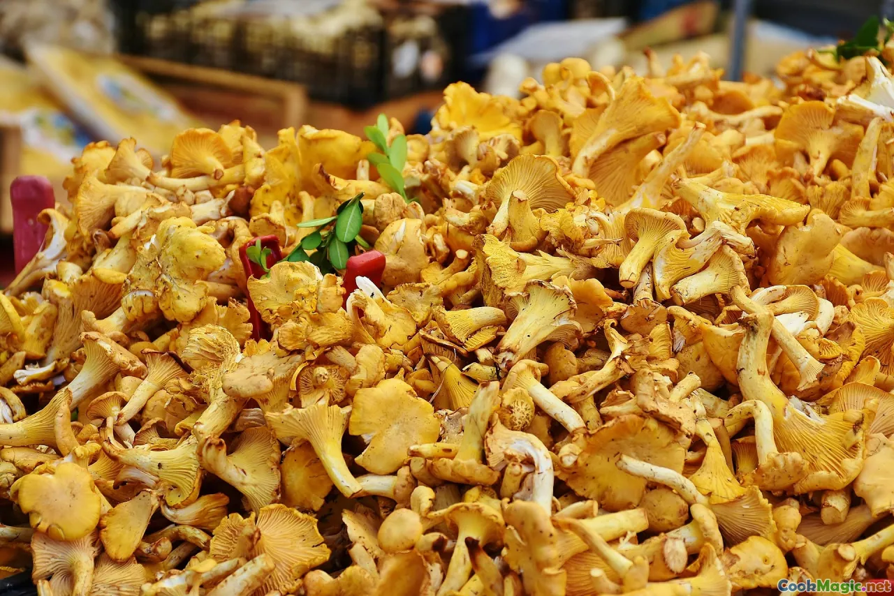 How Foraging for Mushrooms Taught Me Patience