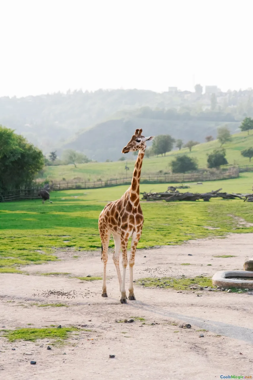 Prague restaurant, Brno pub, Czech beer, plated dish