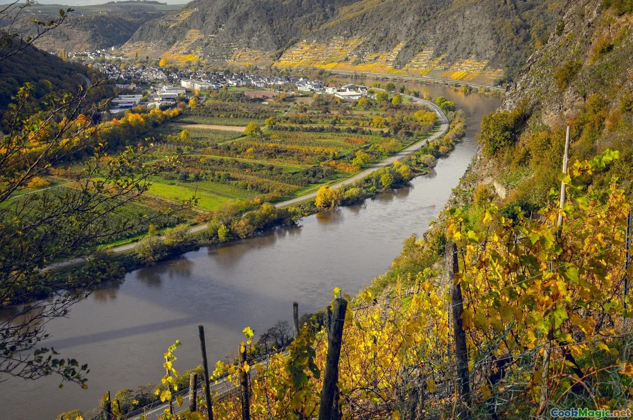 Georgian Wines and the Tradition of Qvevri Aging