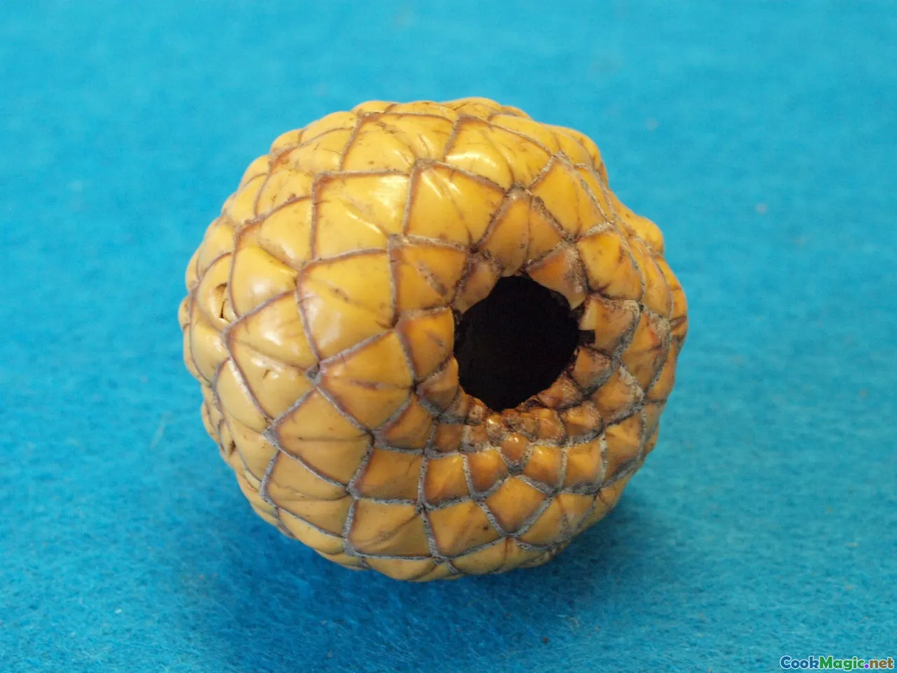 sago palms, Papua landscape, traditional sago harvest