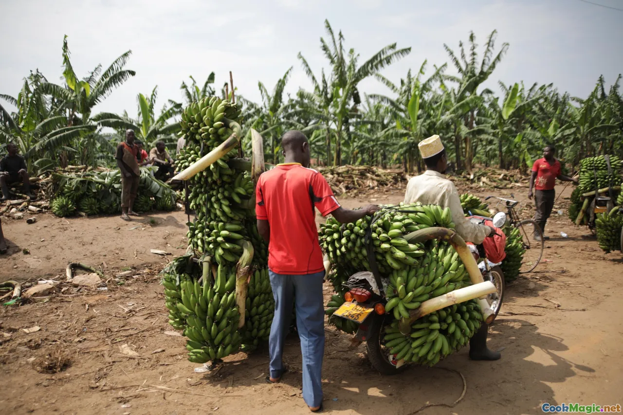 soursop tree, Caribbean market, tropical fruits