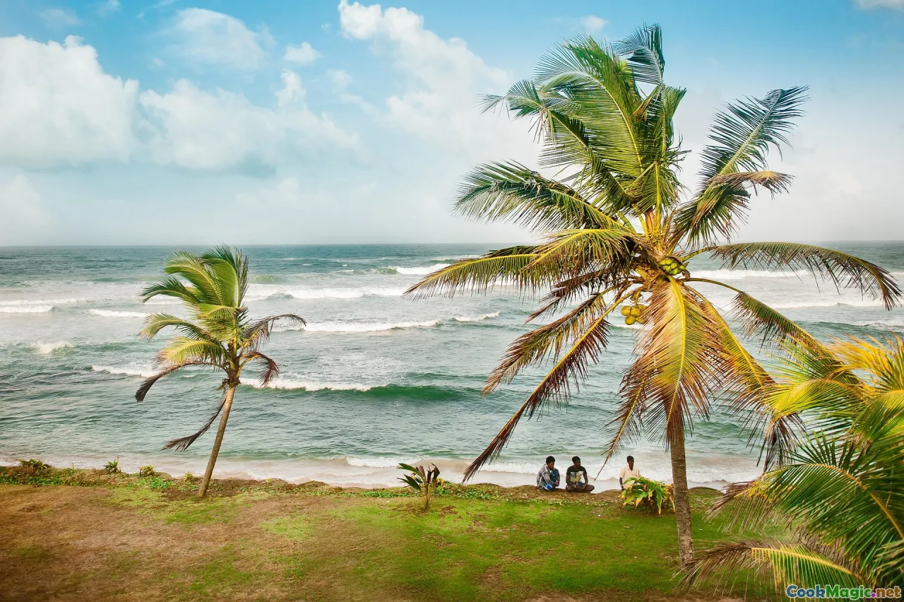 Sri Lankan market, traditional kitchen, coconut trees, island culture