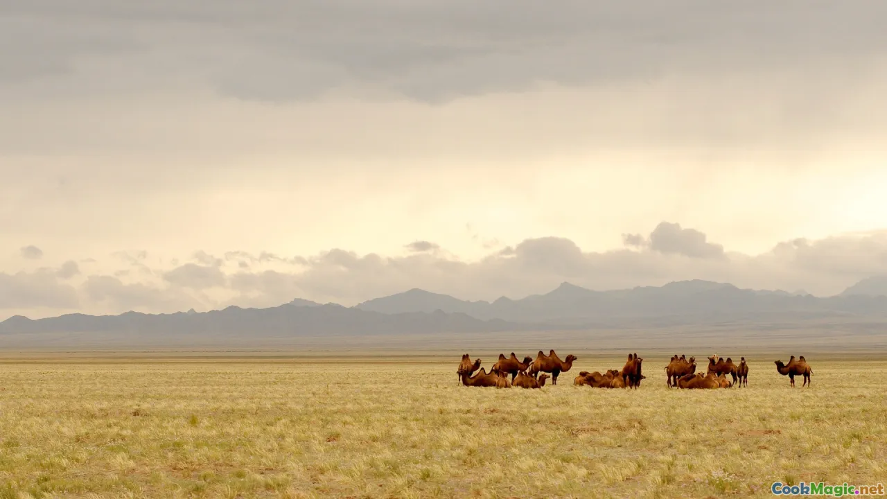 steppe, herd, tradition, smoke