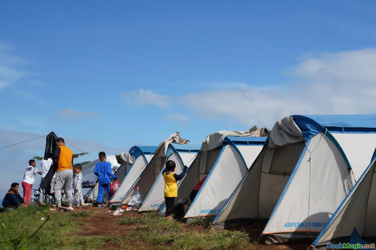 summer picnic, joyful family, Czech cuisine