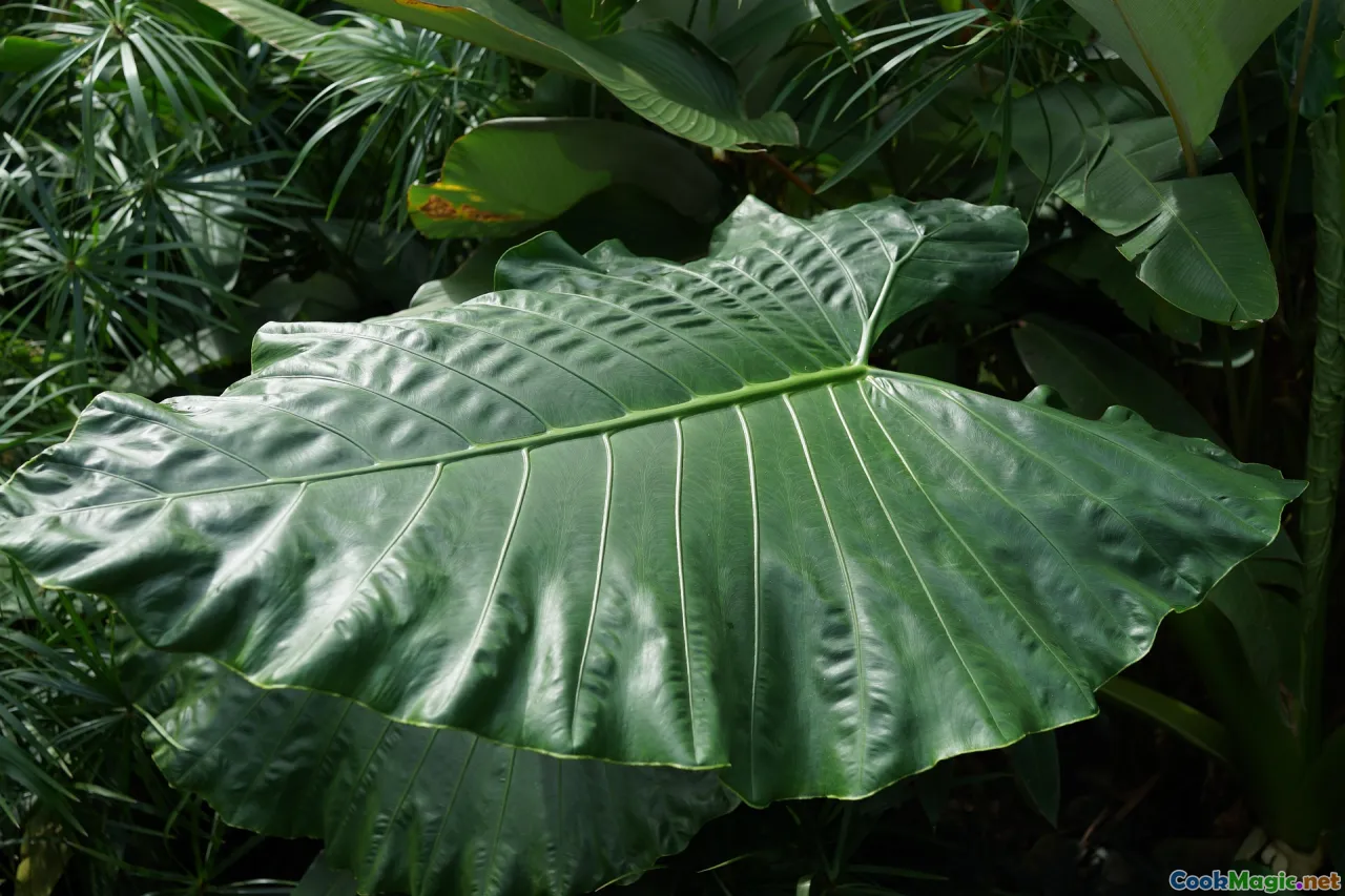Traditional Ingredients in Modern Cooking
