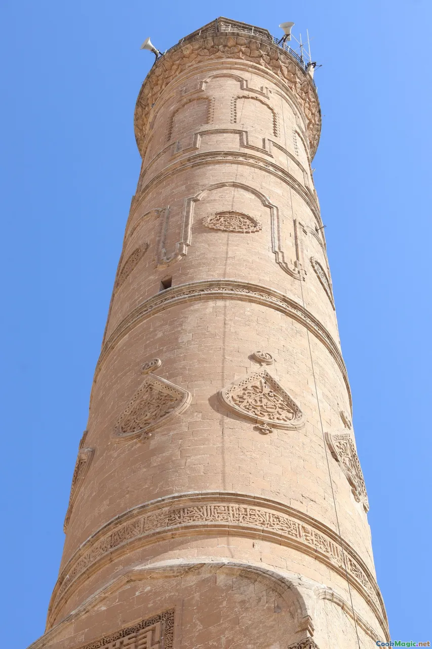 ulu tree, selecting ulu, ripe ulu fruit