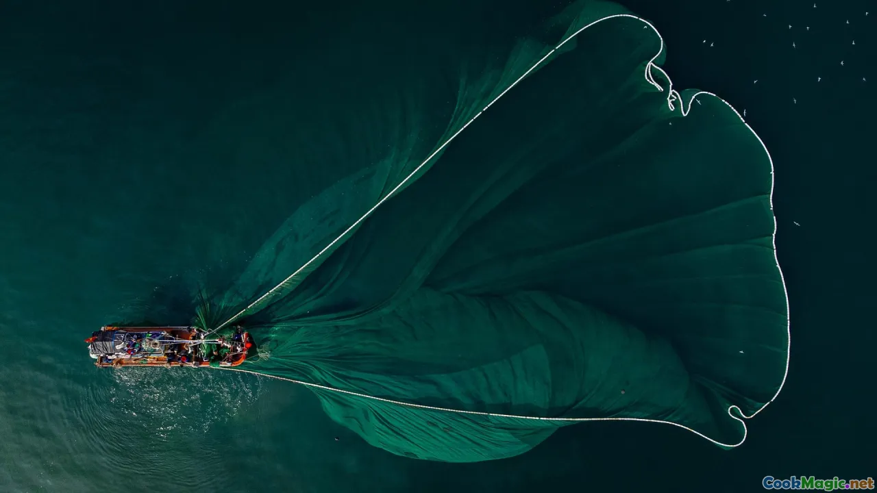 Vietnamese fish sauce, nước mắm, fishing boats, Vietnamese cuisine