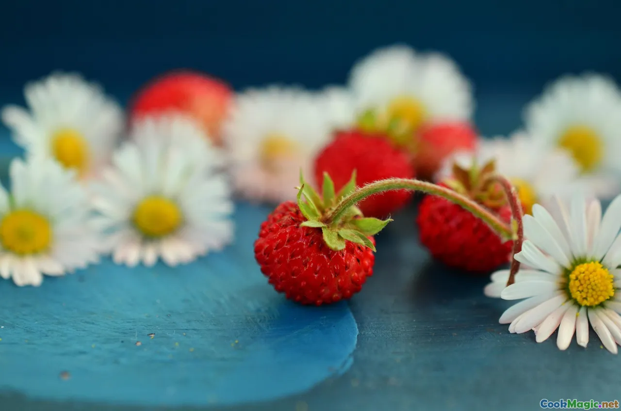 wild berries, bilberries, cloudberries, wild herbs, forest walk
