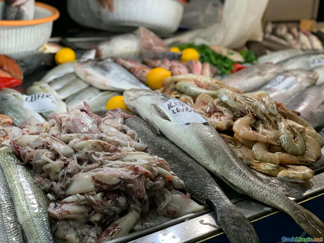 Analyzing Albanian Seafood Dishes on the Coast