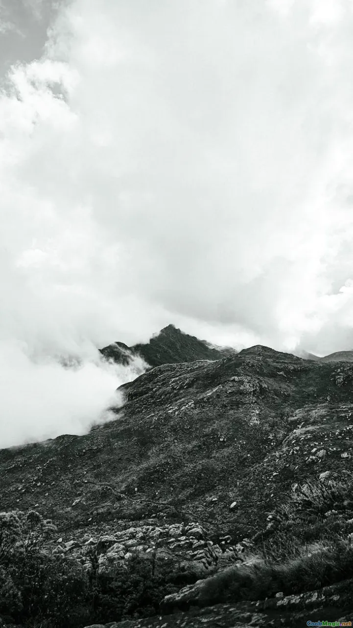 alfandoque, melcocha, toffee pull, andes