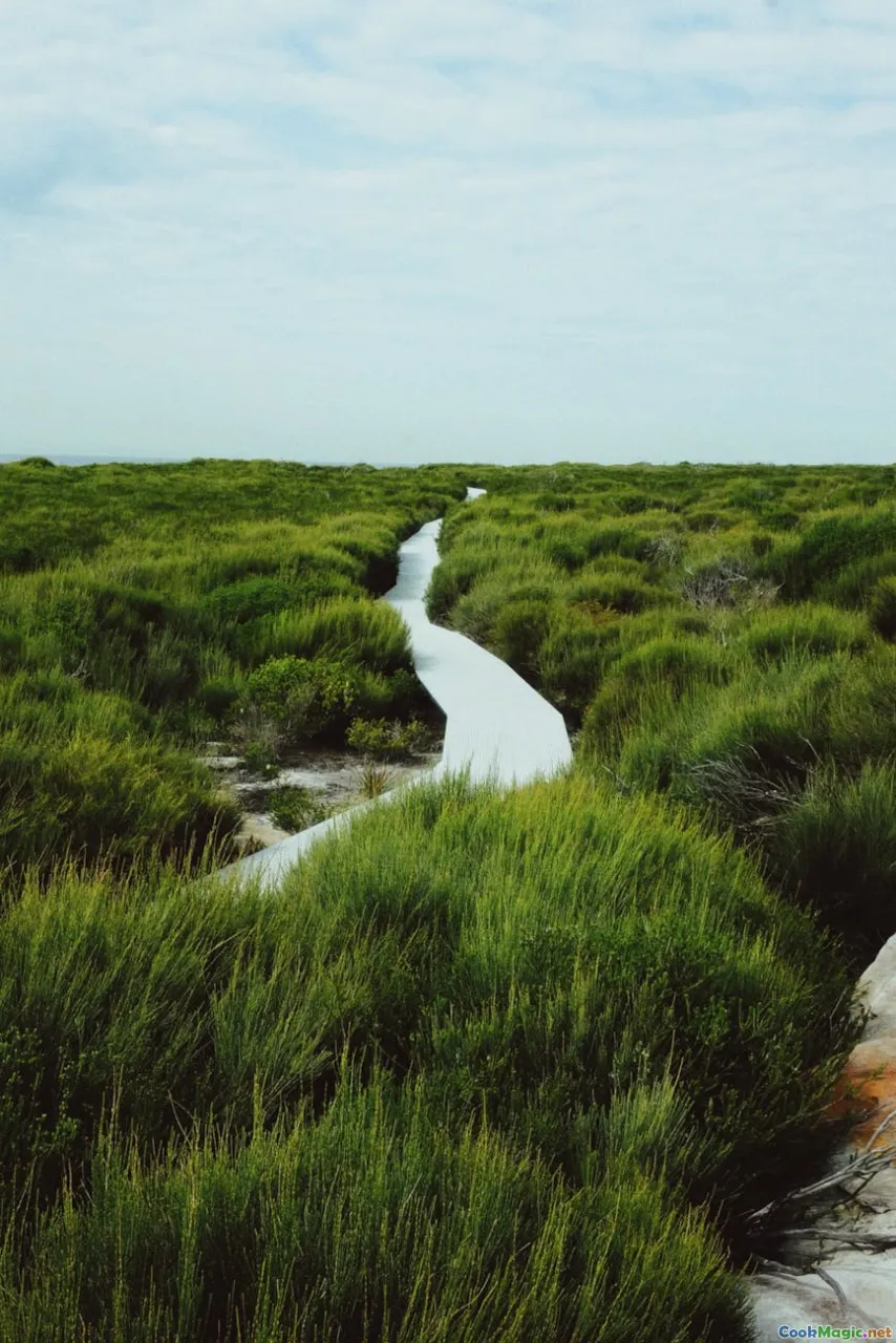 Australian vegetables, stir-fry, wattleseed