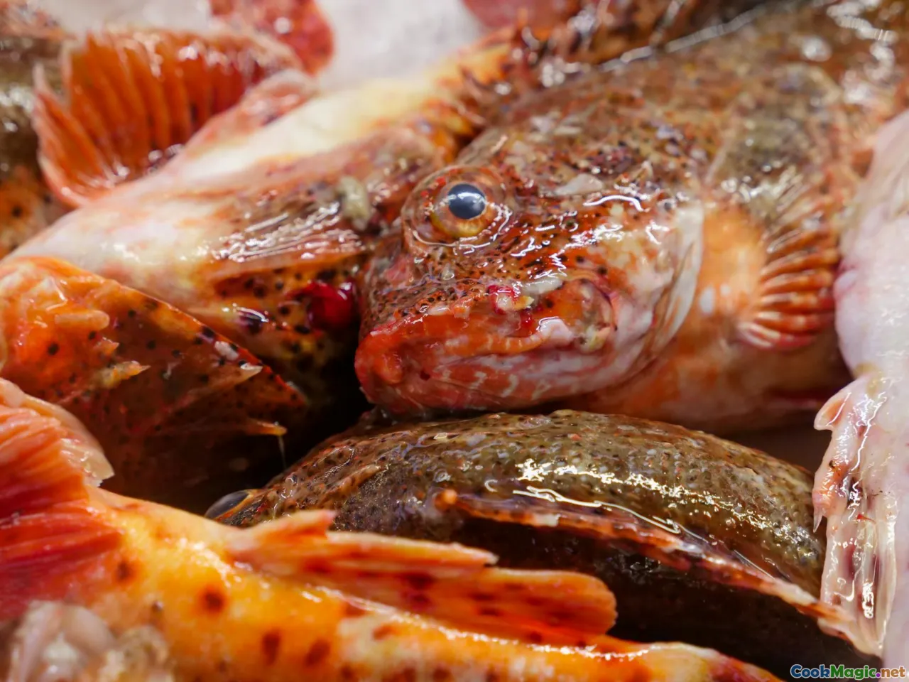 Azores market, alcatra pot, red pepper paste, ocean cliffs
