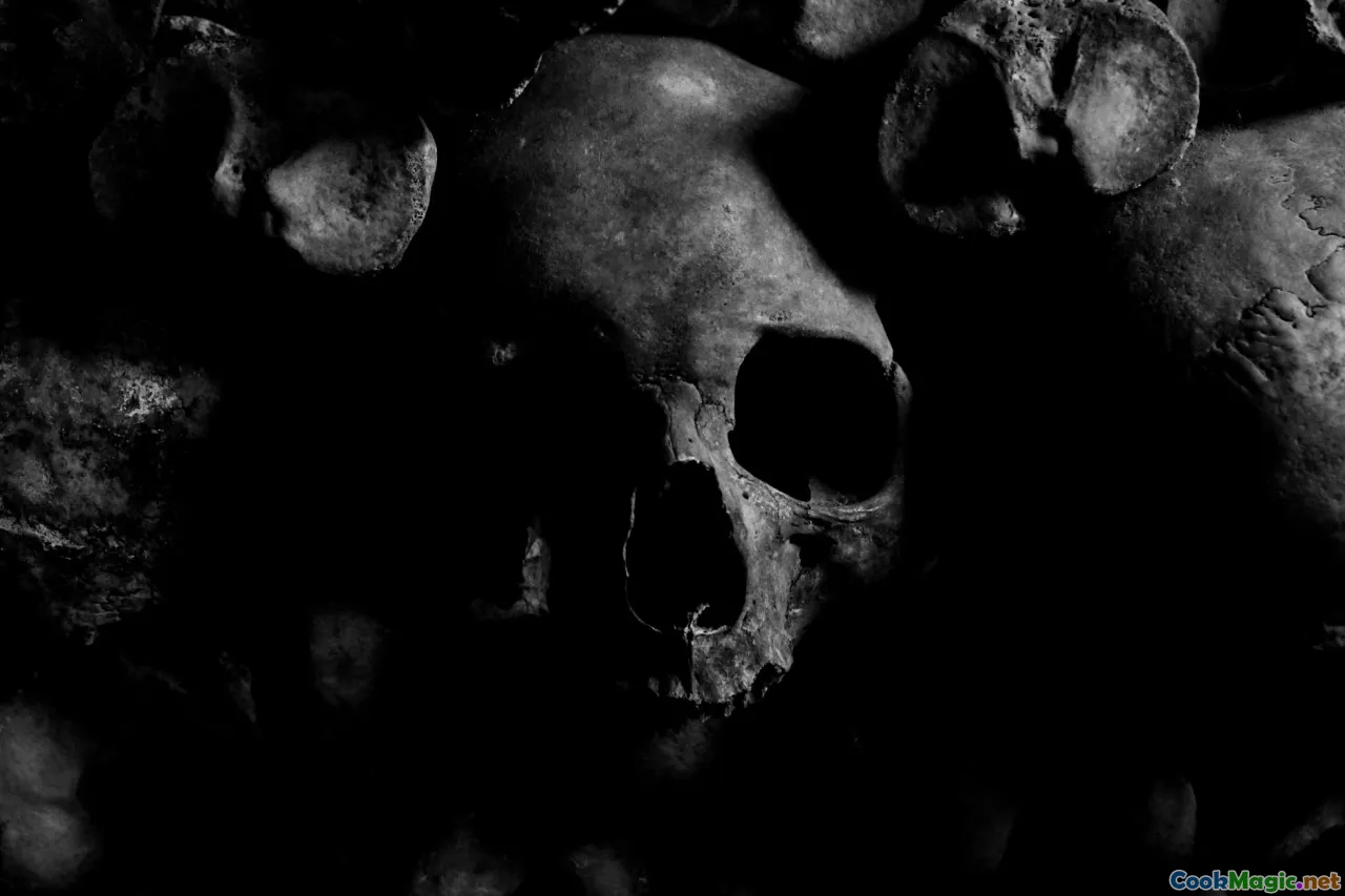 Brennivín: o espírito por trás da cultura alimentar islandesa