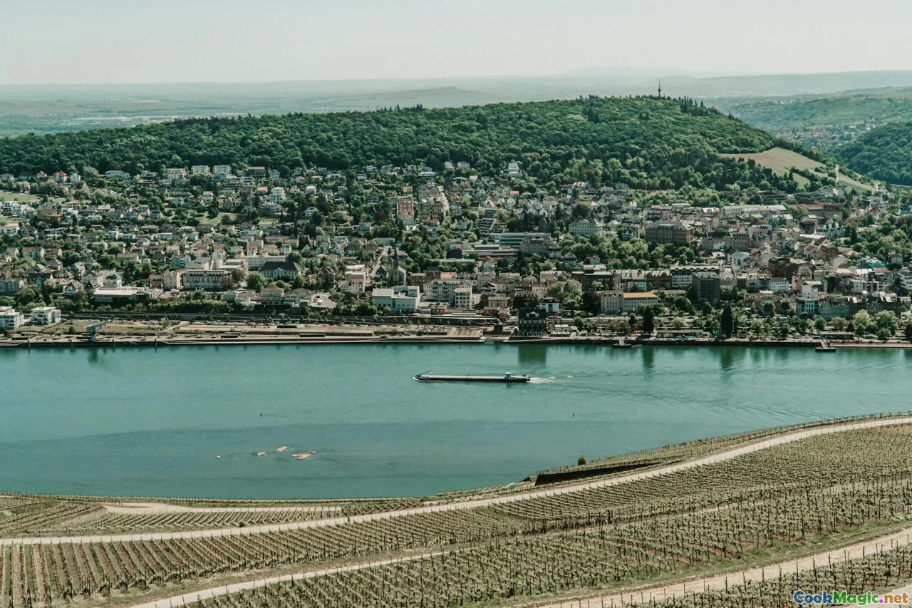coastline, central valley, vineyards, landscape