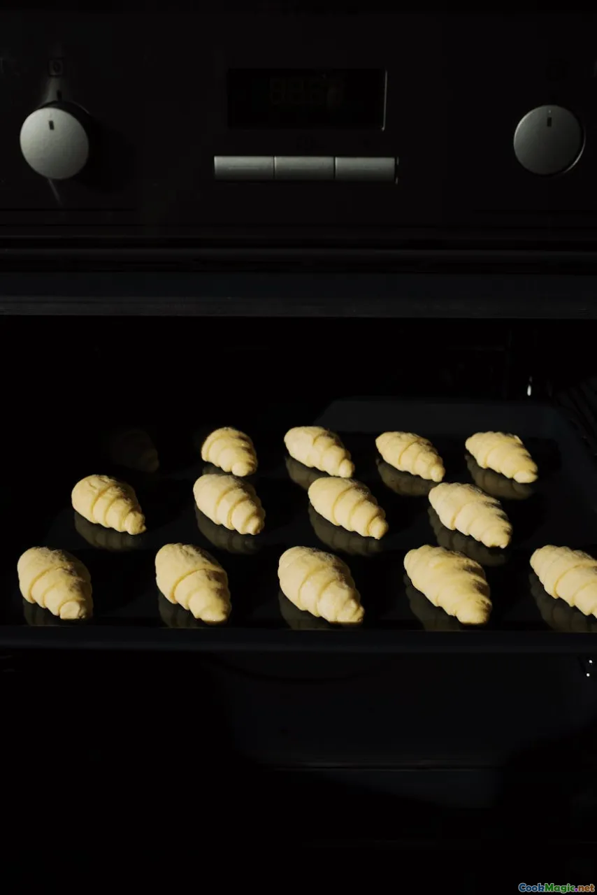 convection fan, airflow, baking science, home oven