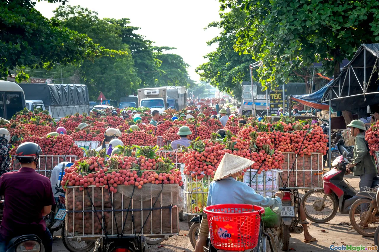 Cuban farmer, tropical harvest, traditional harvest scene