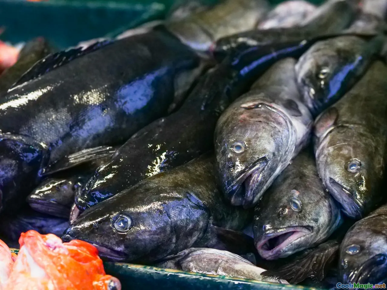 Navigating Cuban Seafood Dishes Preparation and Sourcing