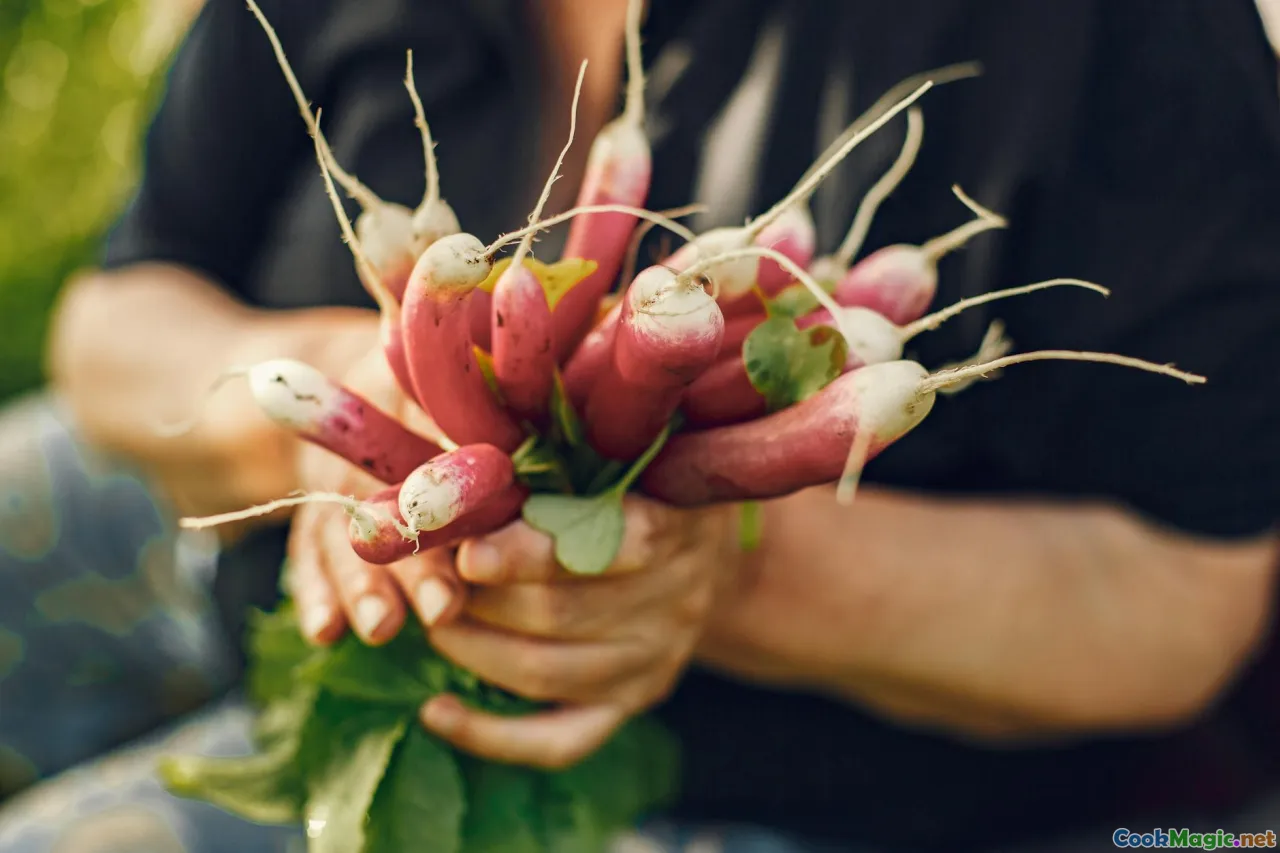 eco-friendly cuisine, farm-to-table, sustainable farming