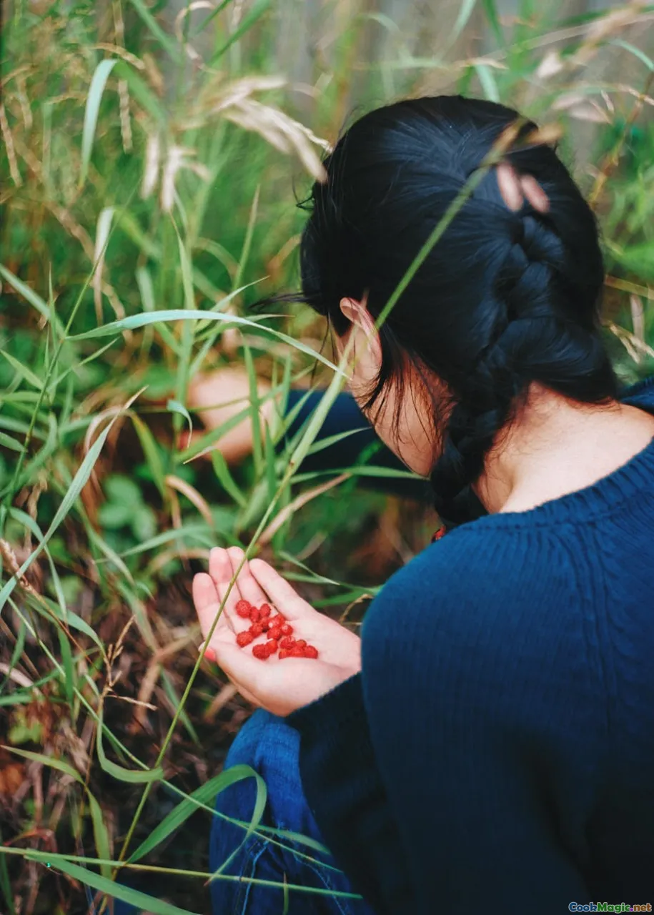 forager, wild berries, eco-friendly harvest