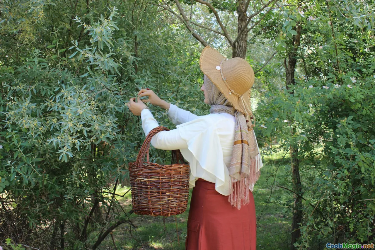 foraging basket, leaves, mountain path, hand