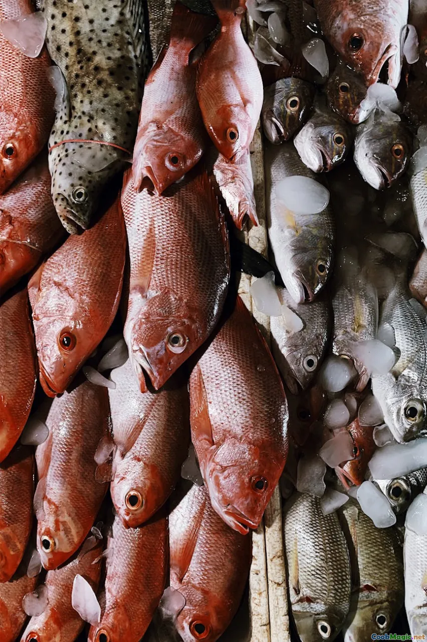 fresh seafood display, seafood market, fresh fish selection
