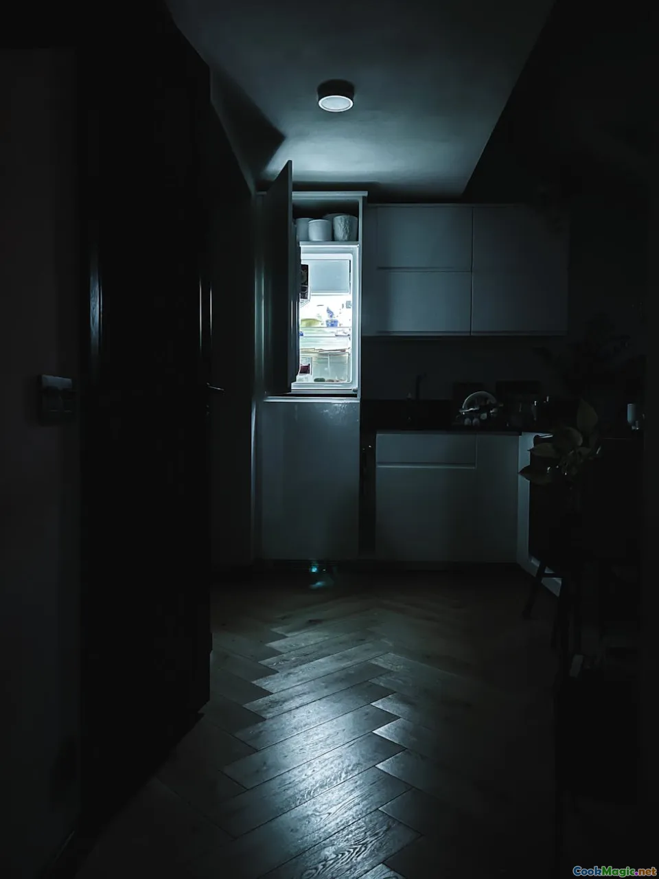fridge light, night kitchen, quiet, linoleum