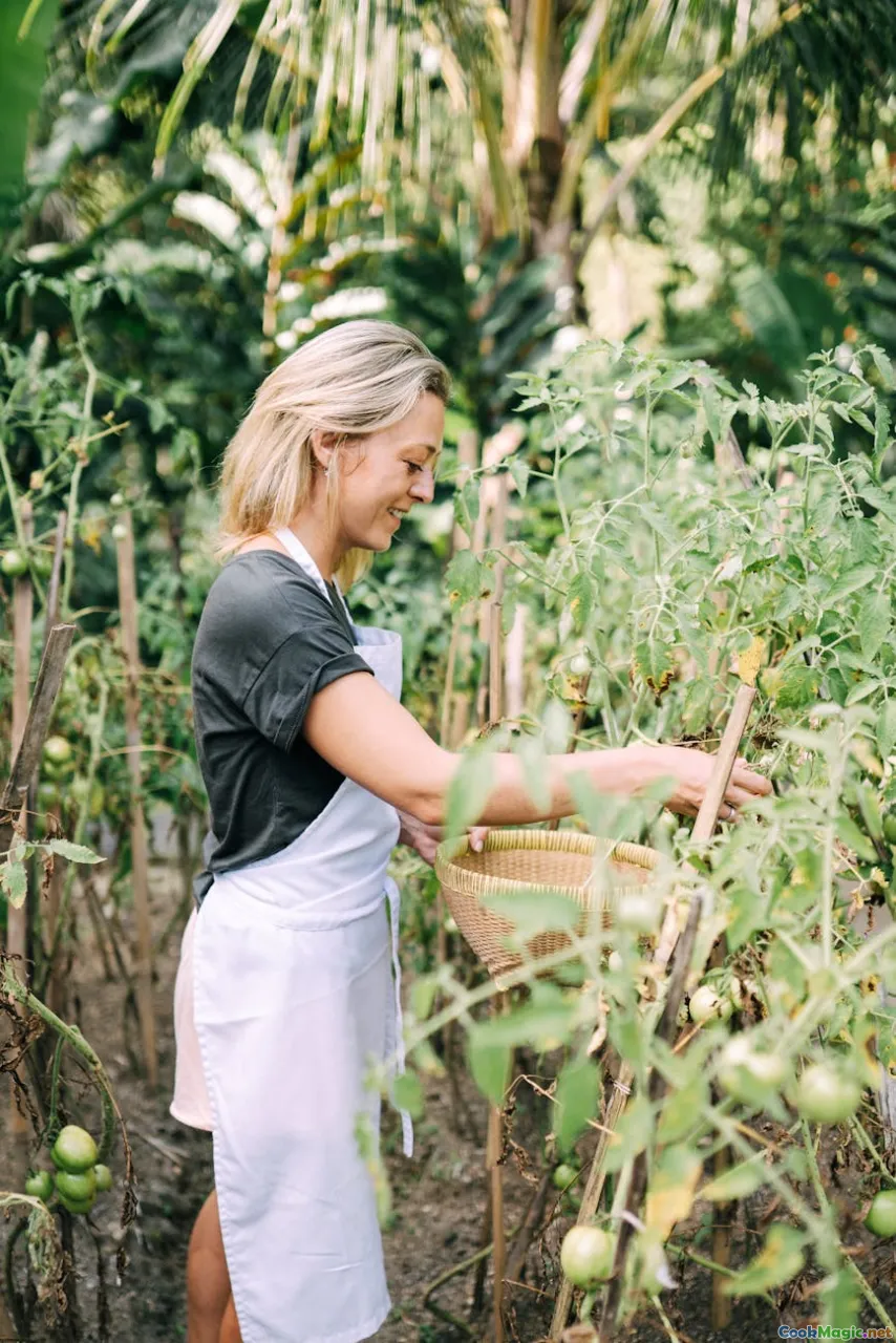 Ghanaian farm, seasonal vegetables, lush greenery, planting, harvesting