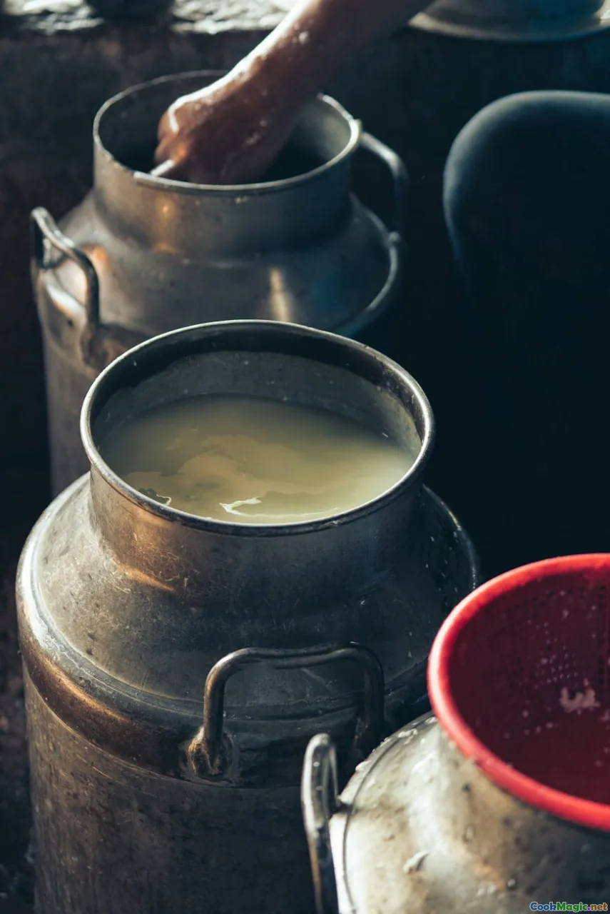ghee making, traditional churn, milk process