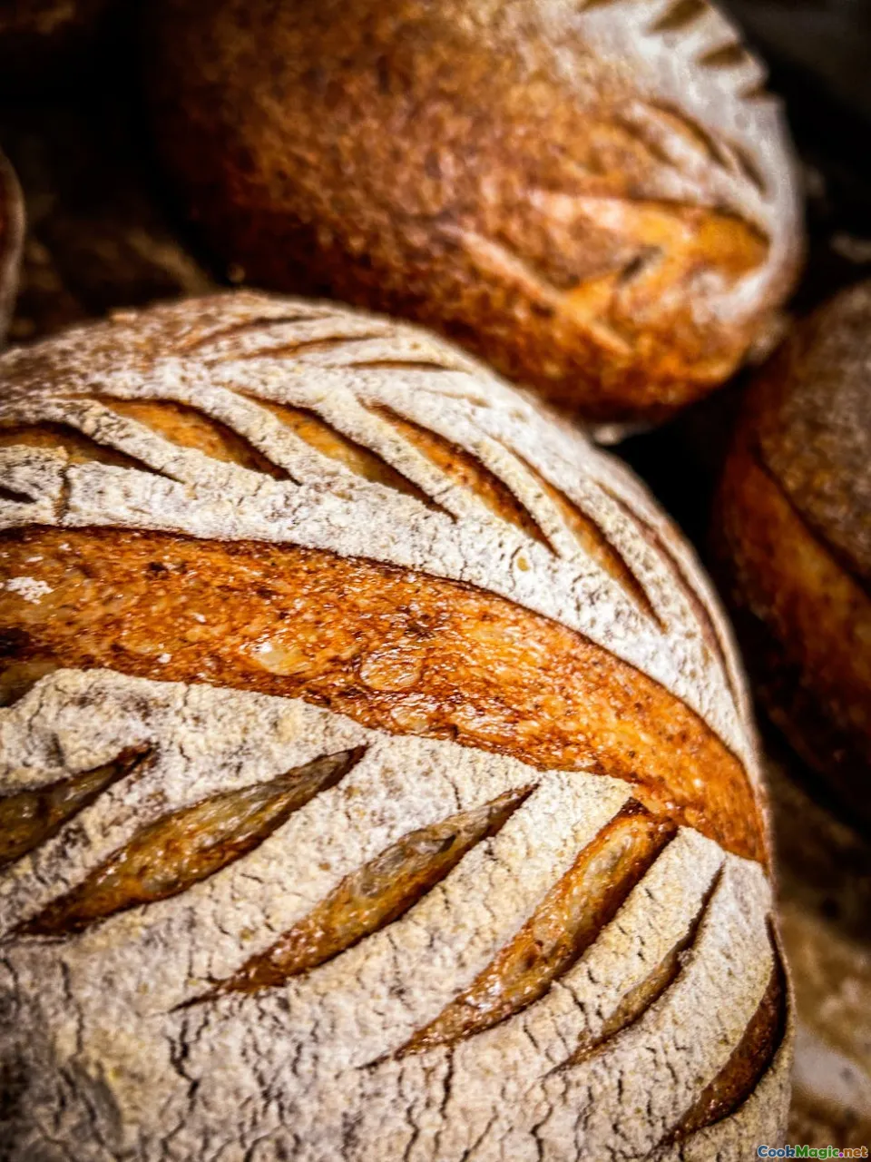 grain storage, dried bread, traditional Kazakh grain, fermented grain dishes