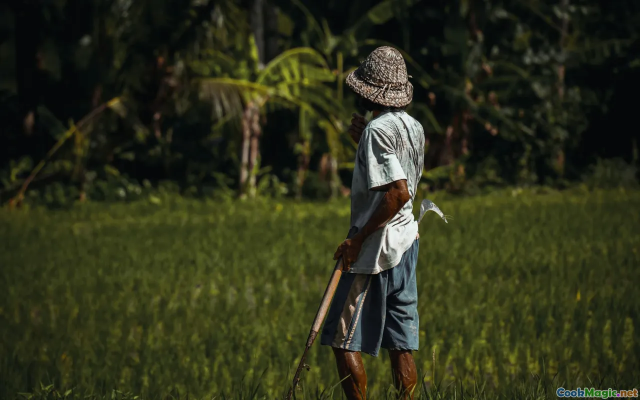 indigenous farmers, tropical farming, traditional tools
