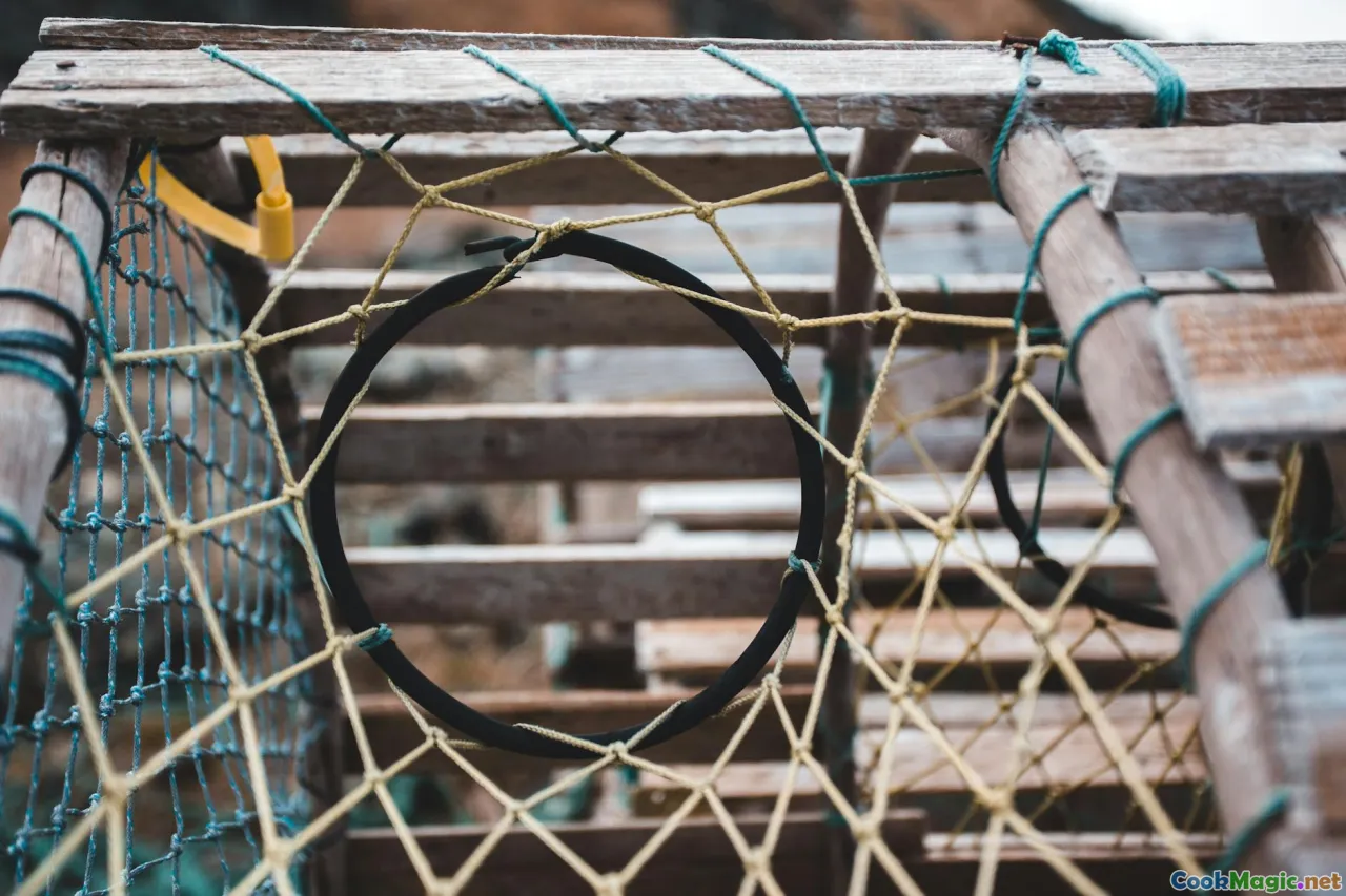 lobster trap, fishermen, traditional fishing boat, netting lobster