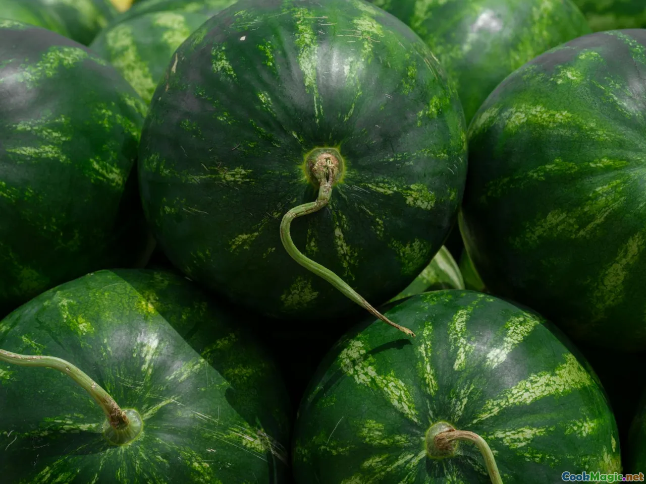 market stall, bark bundles, sustainable sourcing, eco-friendly