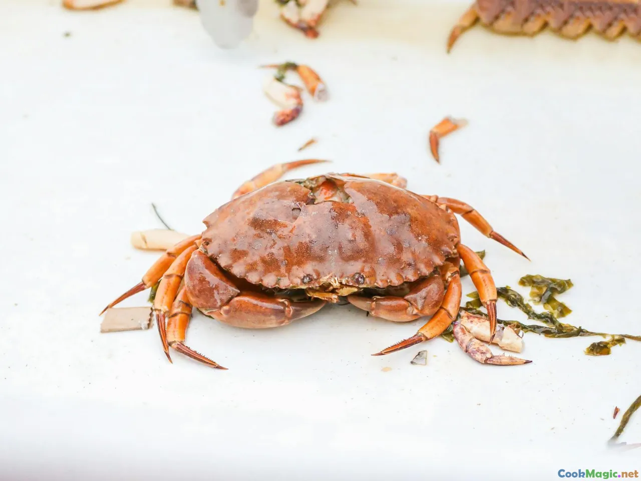 mud crab, seafood market, crab claws